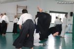 aikido