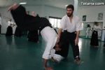 aikido