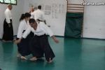 aikido