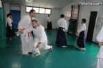 aikido