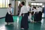 aikido