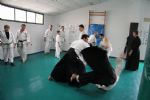 aikido