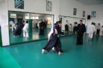 aikido