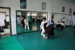 aikido