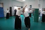 aikido