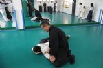 aikido