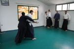 aikido