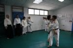 aikido