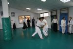 aikido