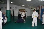 aikido