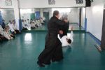 aikido