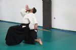 aikido