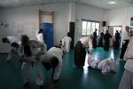 aikido