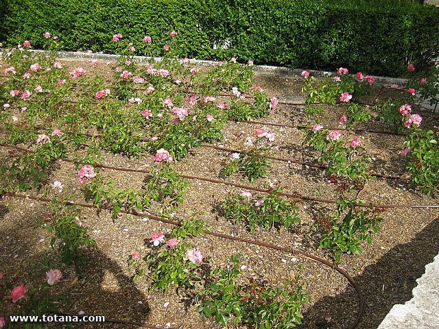 Viaje a Alcal la Real (Jan) - Centro Municipal de Personas Mayores 2014 - 175