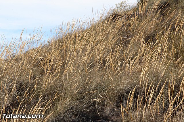 Romera extraordinaria de Santa Eulalia a Aledo - 13/08/2015 - 202