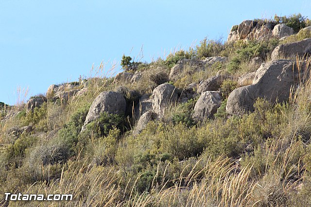 Romera extraordinaria de Santa Eulalia a Aledo - 13/08/2015 - 203