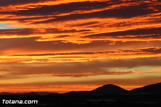Romera extraordinaria de Santa Eulalia a Aledo - 13/08/2015 - 345