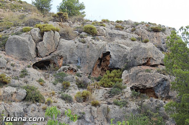 Romera extraordinaria de Santa Eulalia desde Aledo a su Ermita - 174
