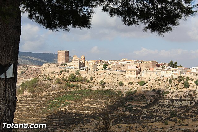 Romera extraordinaria de Santa Eulalia desde Aledo a su Ermita - 179