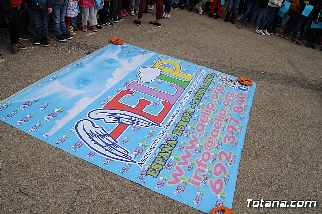 Exhibicin de la Patrulla Acrobtica Paracaidista del Ejrcito del Aire - AELIP 2017 - 41