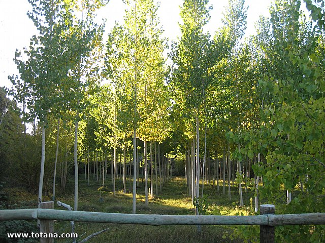 Viaje a Almagro - Lagunas de Ruidera - 114