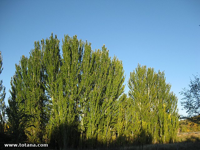 Viaje a Almagro - Lagunas de Ruidera - 120