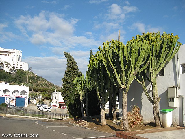 Viaje a Mojacar, Garrucha y Cuevas del Almanzora (Almera) - 4