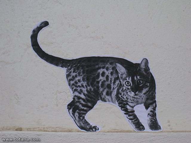 Viaje a Mojacar, Garrucha y Cuevas del Almanzora (Almera) - 53