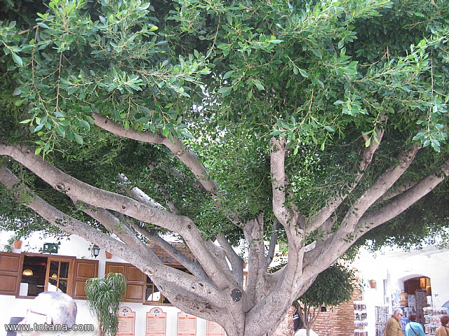 Viaje a Mojacar, Garrucha y Cuevas del Almanzora (Almera) - 58