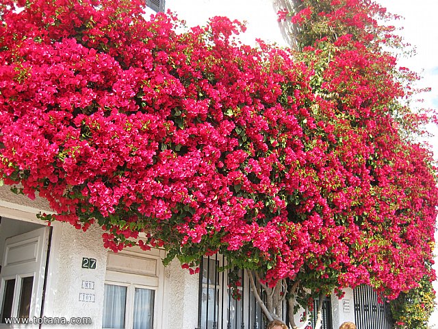 Viaje a Mojacar, Garrucha y Cuevas del Almanzora (Almera) - 92