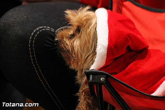 XXV CONCIERTO DE VILLANCICOS. Grupo musical de Ana - 2013 - 102