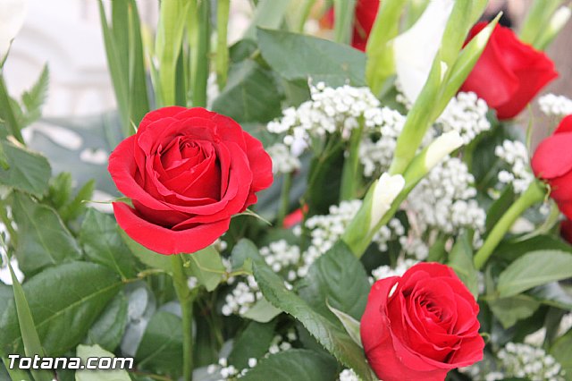 2 de noviembre  Conmemoracin de todos los Fieles Difuntos - Totana 2012 - 59