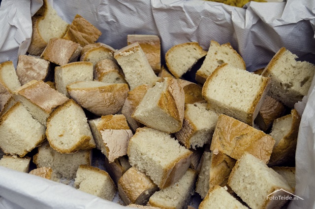 Cantos de nimas en honor a San Fulgencio.El Raiguero Bajo 2015 - 45