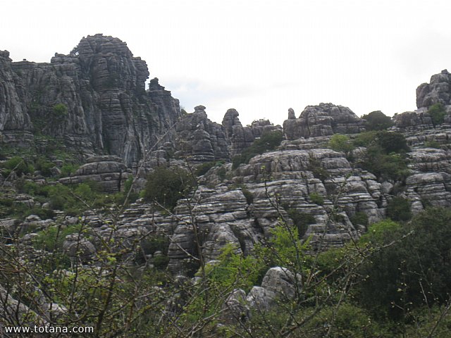 Viaje a Antequera - Abril 2015 - 101