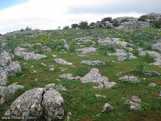 Viaje a Antequera - Abril 2015 - 108
