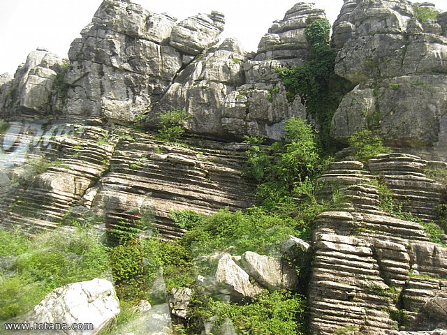 Viaje a Antequera - Abril 2015 - 110