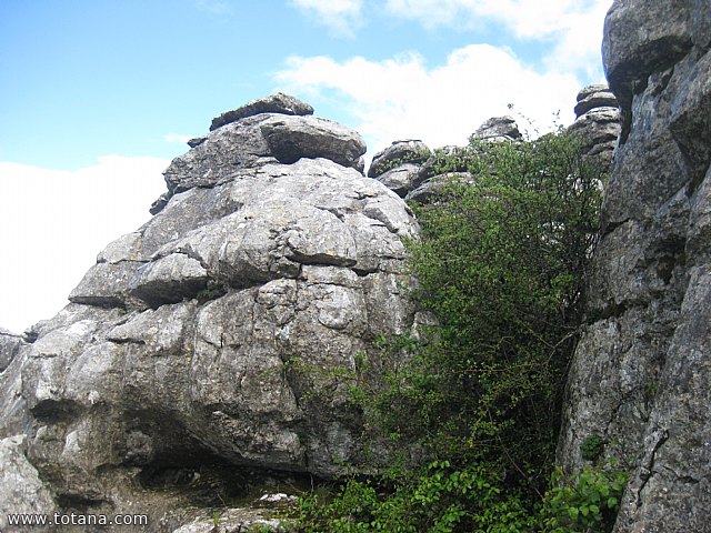 Viaje a Antequera - Abril 2015 - 99