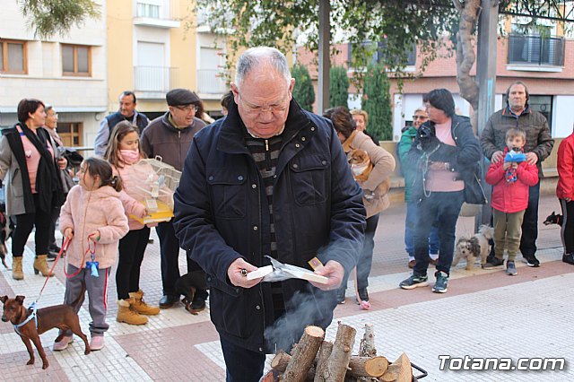 Bendicin de animales San Antn Totana 2020 - 2