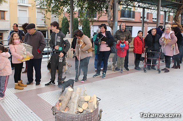 Bendicin de animales San Antn Totana 2020 - 3