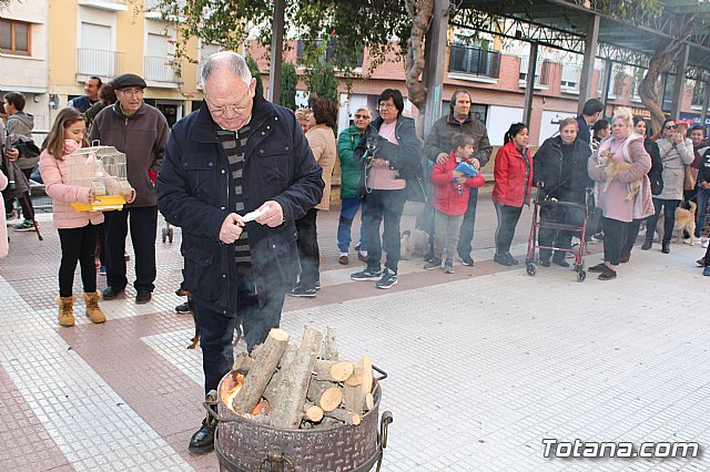 Bendicin de animales San Antn Totana 2020 - 6