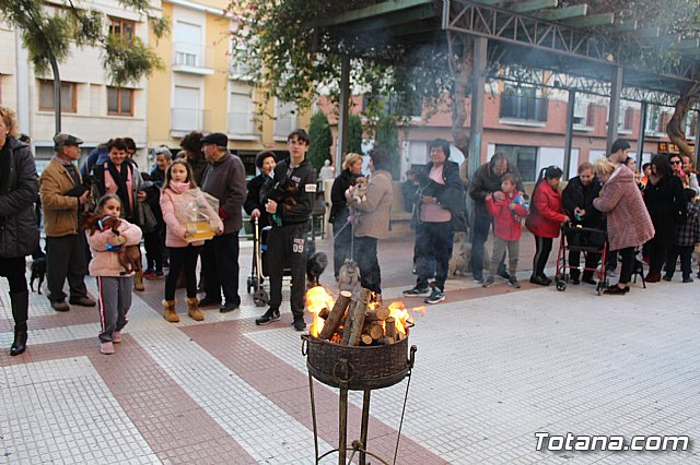 Bendicin de animales San Antn Totana 2020 - 9