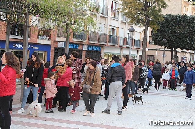 Bendicin de animales San Antn Totana 2020 - 13