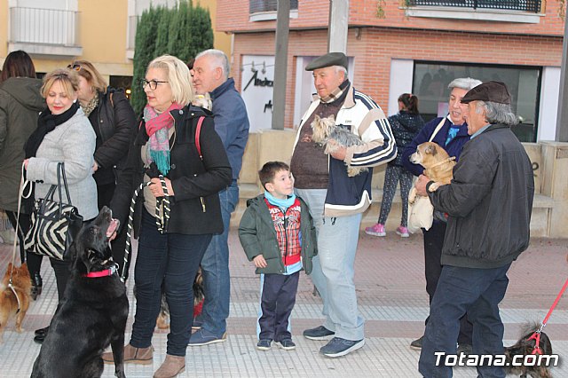 Bendicin de animales San Antn Totana 2020 - 14