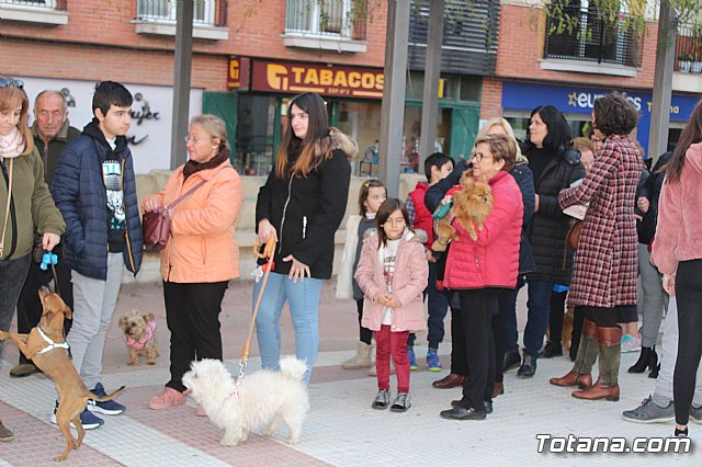 Bendicin de animales San Antn Totana 2020 - 17