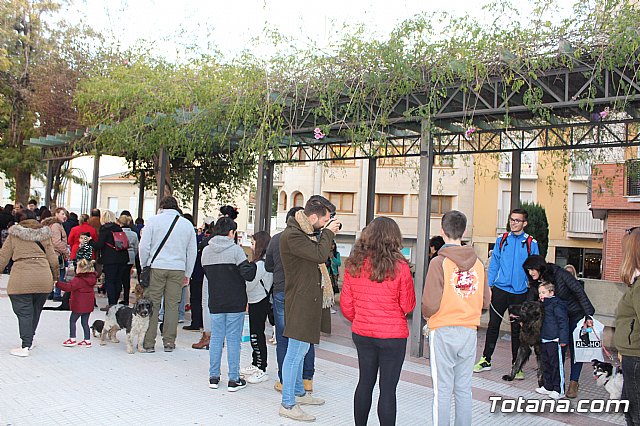 Bendicin de animales San Antn Totana 2020 - 20