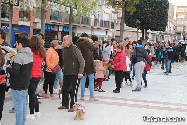 Bendicin de animales San Antn Totana 2020 - 24