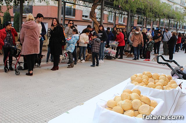 Bendicin de animales San Antn Totana 2020 - 26