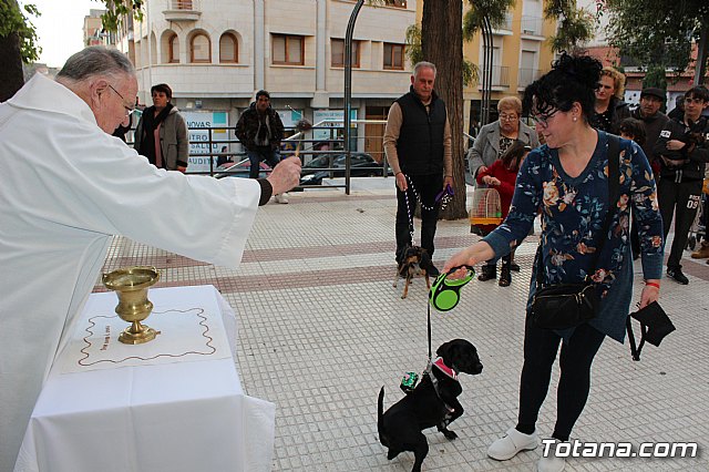 Bendicin de animales San Antn Totana 2020 - 29