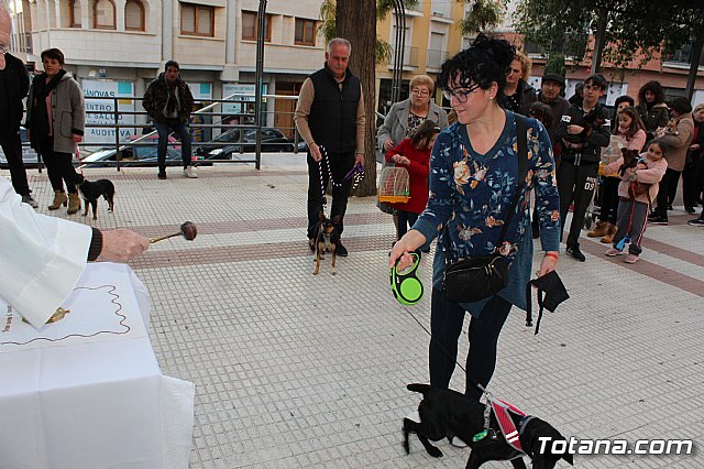 Bendicin de animales San Antn Totana 2020 - 30