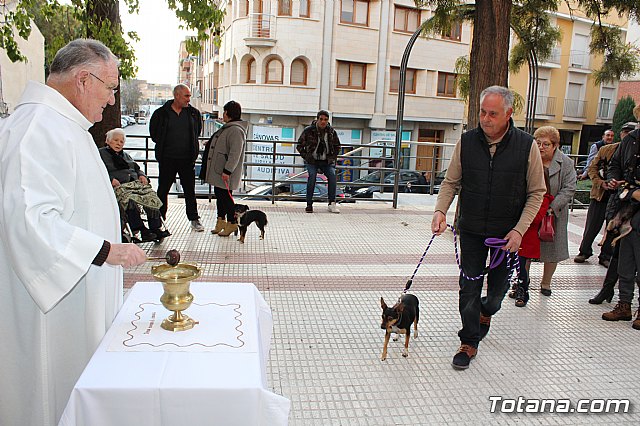 Bendicin de animales San Antn Totana 2020 - 31